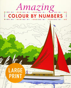 Colour by Numbers Large Print