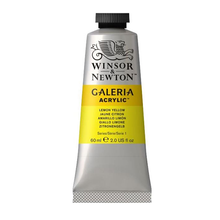 Load image into Gallery viewer, Winsor &amp; Newton Galeria Acrylic Colour 60ml
