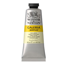 Load image into Gallery viewer, Winsor &amp; Newton Galeria Acrylic Colour 60ml
